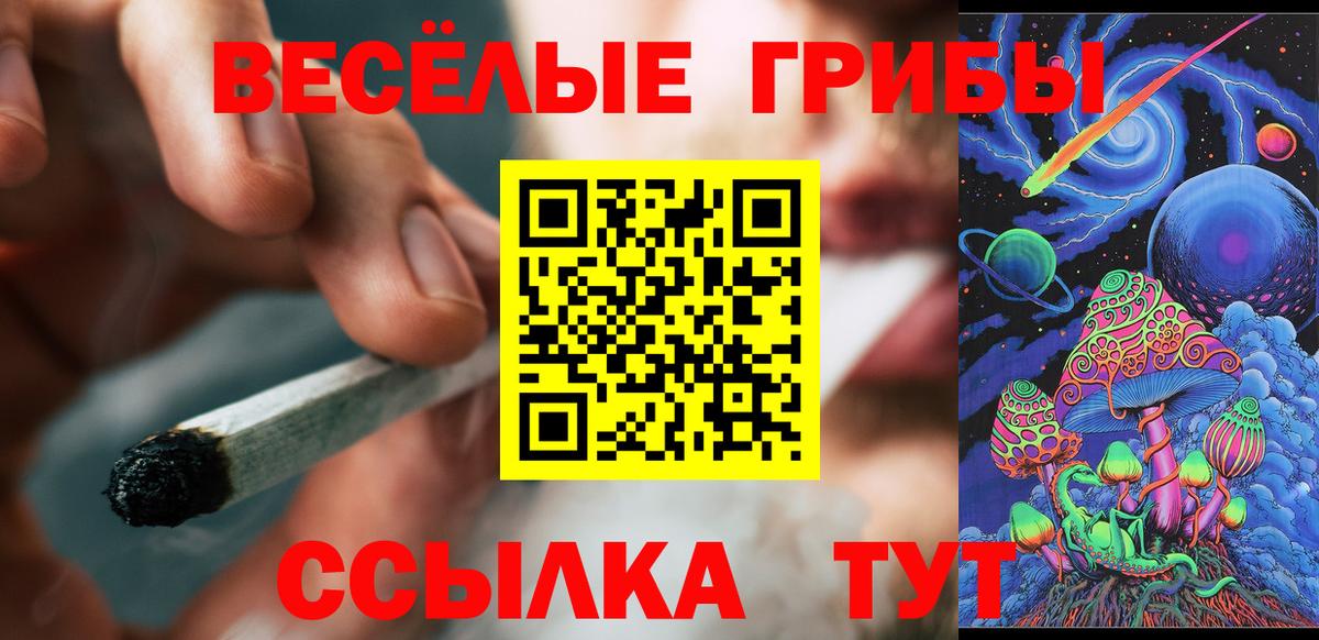 Дедовск  Галлюциногенные грибы прущие грибы  Вход с VPN 